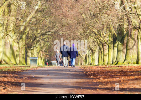 Northampton. U.K. Meteo, Abington park. 16 gennaio 2018. Una coppia di anziani potrete godervi una passeggiata lungo il viale di alberi sotto il sole di questo pomeriggio. Credito: Keith J Smith./Alamy Live News Foto Stock