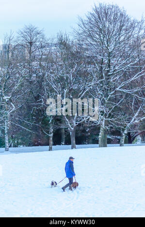 Glasgow, Scotland, Regno Unito. Il 17 gennaio 2018. Regno Unito Meteo: un uomo vestito in blu di prendere due cani per una passeggiata a piedi nella neve alta. Dopo il Met Office emette un giallo di avvertimento meteo una spessa coltre di neve copre la città di Glasgow. Credito: Berretto Alamy/Live News Foto Stock