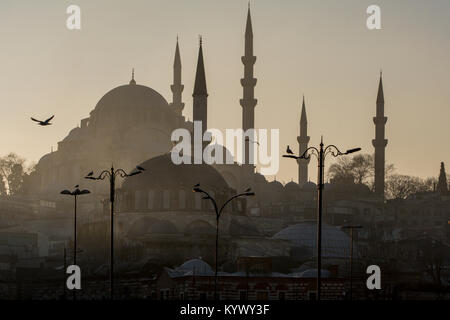 Moschee di Istanbul, Turchia Foto Stock