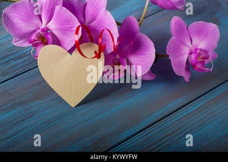 Ramo di orchidea viola su una tavola di legno sfondo blu Foto Stock