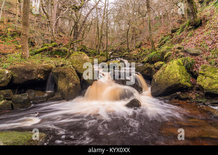 Burbage Brook presso Padley Gorge nel Derbyshire, Regno Unito Foto Stock