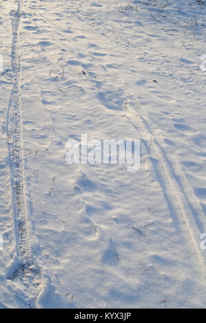 Piccole tracce di pneumatici sulla neve in vista prospettica Foto Stock