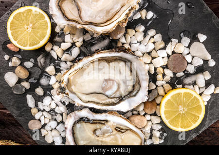 Un overhead closeup foto di appena aperto le ostriche sul ghiaccio con i limoni, sulla texture scuro Foto Stock