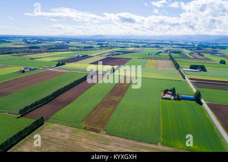 Vista aerea di Tokachi Plain, Memuro-cho, Kasai-gun, Hokkaido, Giappone Foto Stock
