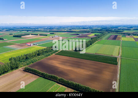 Vista aerea di Tokachi Plain, Memuro-cho, Kasai-gun, Hokkaido, Giappone Foto Stock