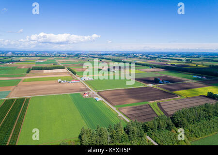 Vista aerea di Tokachi Plain, Memuro-cho, Kasai-gun, Hokkaido, Giappone Foto Stock