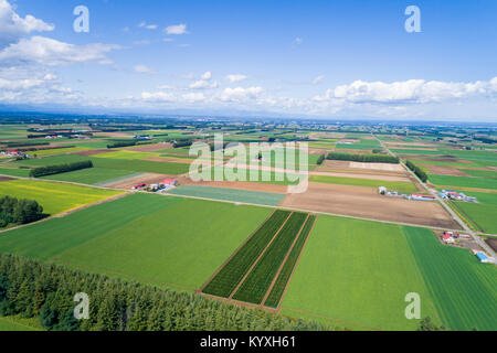 Vista aerea di Tokachi Plain, Memuro-cho, Kasai-gun, Hokkaido, Giappone Foto Stock