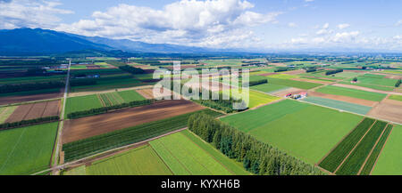 Vista aerea di Tokachi Plain, Memuro-cho, Kasai-gun, Hokkaido, Giappone Foto Stock