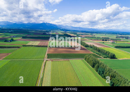 Vista aerea di Tokachi Plain, Memuro-cho, Kasai-gun, Hokkaido, Giappone Foto Stock