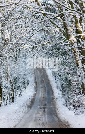 Strada andando attraverso la coperta di neve alberi da bosco, Broadway, Cotswolds, Worcestershire, England, Regno Unito, Europa Foto Stock