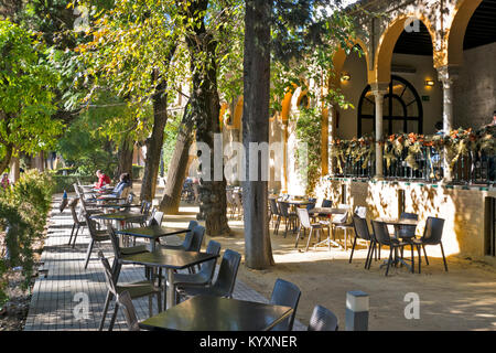 ALCAZAR siviglia spagna i giardini formali e il ristorante CAFE AREA con pavoni Foto Stock