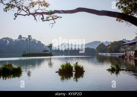 Kandy Bogambara lago nel centro della città, Sri Lanka Foto Stock