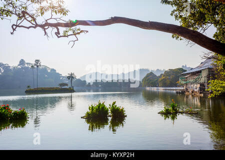 Kandy Bogambara lago nel centro della città, Sri Lanka Foto Stock