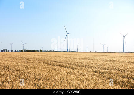 Turbina eolica tra dorate spighe di grano raccolti. Mulino a vento turbina è fonte ecologica di energia. La raccolta delle spighe di grano. Colture raccolte Foto Stock