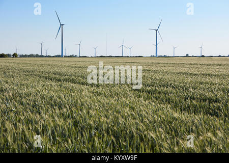 Turbina eolica tra il verde di spighe di grano raccolti. Mulino a vento turbina è fonte ecologica di energia. La raccolta delle spighe di grano. Colture raccolte Foto Stock