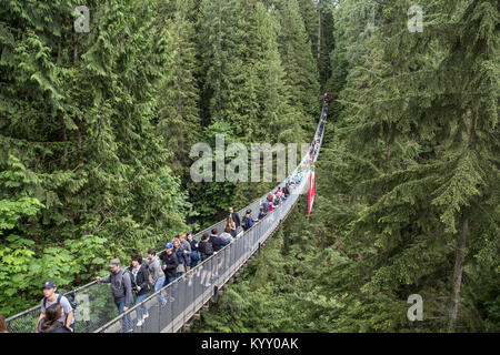 Angolo di alta vista di turisti camminando sul Ponte Sospeso di Capilano immerso nel bosco Foto Stock