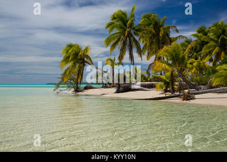 Idillica vista della spiaggia da palme di cocco contro il cielo nuvoloso Foto Stock