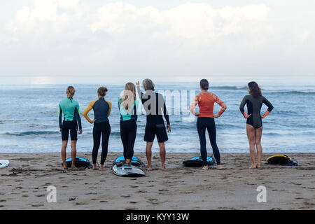 Lunghezza piena vista posteriore di amici con tavole da surf in piedi sulla riva presso la spiaggia contro sky Foto Stock