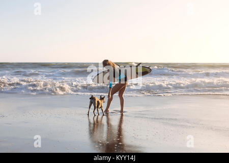 Per tutta la lunghezza della donna che la porta con la tavola da surf in piedi con i cani in spiaggia Foto Stock