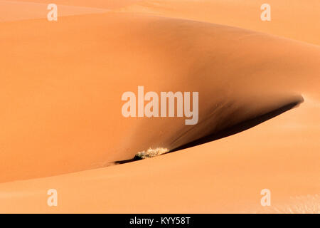 Dune di sabbia, Sossusvlei, Namib-Naukluft National Park, Namib Desert, Namibia | Sandduene, Sossusvlei, Namib-Naukluft Nationalpark, Namibia Foto Stock