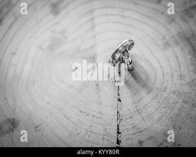 Gli anelli di nozze in bianco e nero Foto Stock