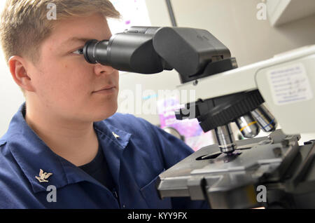 KINGS BAY, Ga. (Ott. 24, 2017) Ospedale Corpsman 3rd Class Robert Hall studi un campione di sangue con un microscopio a ramo navale Health Clinic Kings Bay il laboratorio. Attraverso il nostro ospedale e cinque filiali Clinics di Salute, abbiamo condotto 1,355,867 di test di laboratorio per l'anno fiscale 2017. (U.S. Navy Foto Stock