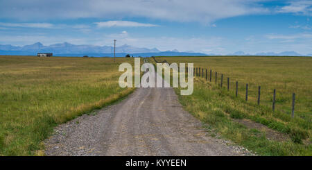 Strada sterrata che passa attraverso il paesaggio, Longview, Cowboy Trail, Southern Alberta, Alberta, Canada Foto Stock