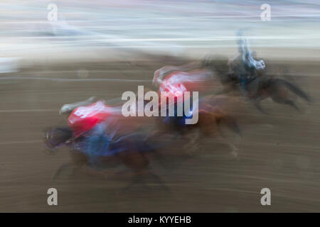 Sfocata vista di movimento delle corse di cavalli a Calgary Stampede, Calgary, Alberta, Canada Foto Stock