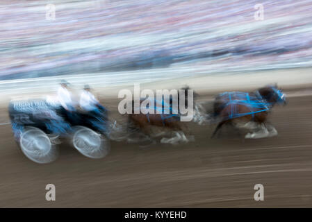 Moto sfocata vista di chuckwagons racing durante la Calgary Stampede, Calgary, Alberta, Canada Foto Stock