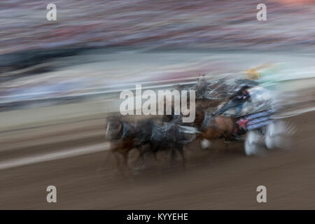 Moto sfocata vista di chuckwagons racing durante la Calgary Stampede, Calgary, Alberta, Canada Foto Stock