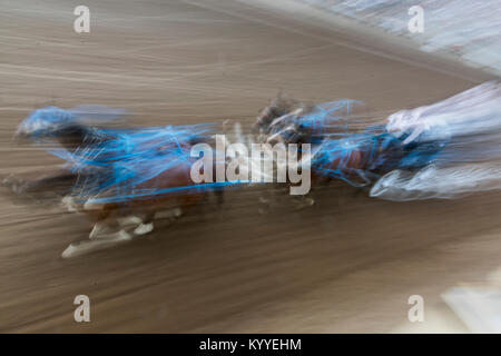 Moto sfocata vista di chuckwagons racing durante la Calgary Stampede, Calgary, Alberta, Canada Foto Stock