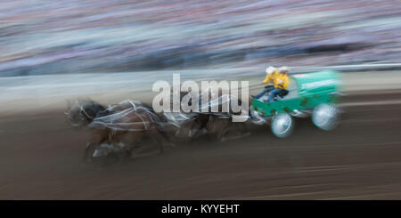 Moto sfocata vista di chuckwagons racing durante la Calgary Stampede, Calgary, Alberta, Canada Foto Stock