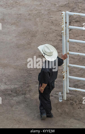 Elevato angolo di visione di un uomo in piedi vicino al recinto, Calgary Stampede, Calgary, Alberta, Canada Foto Stock