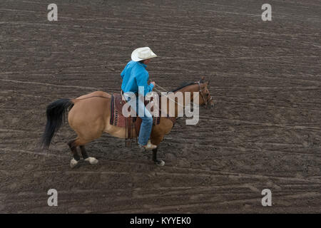 Elevato angolo di visione del cowboy a cavallo, Calgary Stampede, Calgary, Alberta, Canada Foto Stock