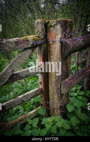 Vecchia fattoria in legno cancello coperto di licheni e muschi Foto Stock