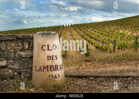 Clos des Lambrays Grand Cru vigna pilastro di pietra a confine Morey-St-Denis, Côte d'Or, Francia. [Côte de Nuits Grand Cru] Foto Stock