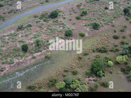 Verde e lussureggiante su strada e un fiume di Savannah vicino a Elephant Hills Hotel Intercontinental di Victoria Falls, Zimbabwe. Foto Stock