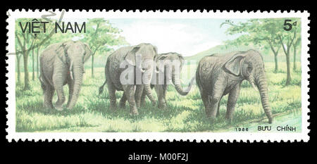 Vietnam - timbro stampato in1987, serie animali mammiferi, elefante asiatico, Elephas maximus Foto Stock
