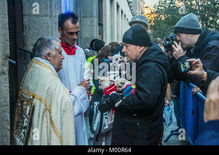 Madrid, Spagna, 17 gennaio, 2018. San Anton giorno la sua circa a benedire gli animali dalla Chiesa cattolica in Spagna, popolo di andare alla chiesa di benedire gli animali Credito: Alberto Ramírez Sibaja/Alamy Live News Foto Stock