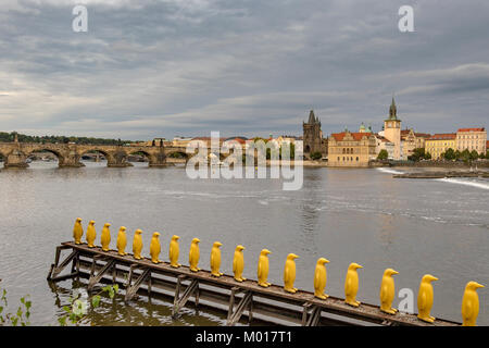 Pinguini gialli sulle rive del fiume Vlatava con il Ponte Carlo e la Città Vecchia di Praga sullo sfondo, Praga, Repubblica Ceca Foto Stock