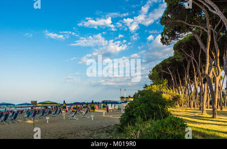 Spiaggia di Pinetodegli Abruzzo Abruzzo, Italia. Pineto degli Abruzzi è anche noto come 'Lido delle Rose' a causa della grande varietà di rose Foto Stock