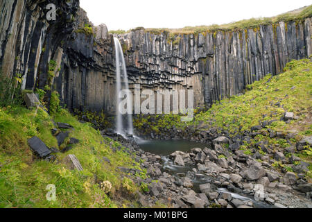 Svartifoss cascata nel sud dell'Islanda. Foto Stock