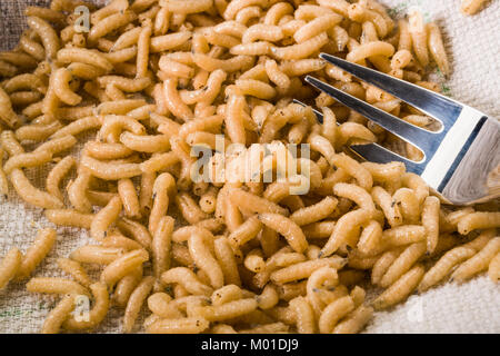 Nuovo cibo: mangiare vermi larve di insetto Foto Stock