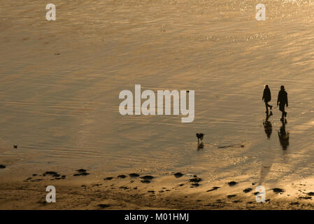 La silhouette di un uomo e di una donna (giovane) passeggiate sulla spiaggia con il loro cane al tramonto. Foto Stock