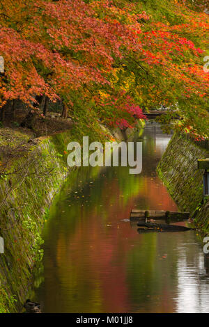 Il canale di caduta e di colore lungo il filosofo il percorso a Kyoto, in Giappone. Foto Stock