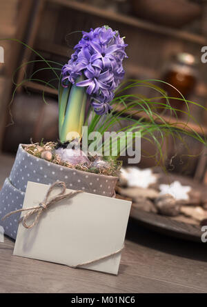 Viola giacinto e biglietto di auguri su inverno cucina con piastra di cookie Foto Stock