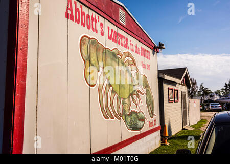 Abbott di astice in grezzo   Noank, Connecticut, Stati Uniti d'America Foto Stock