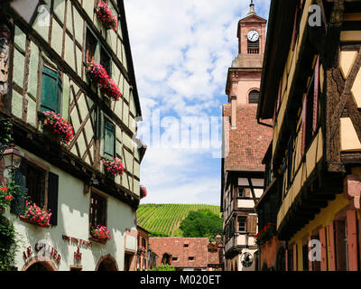 RIQUEWIHR, Francia - Luglio 11, 2010: case e i vigneti della città Riquewihr. Riquewihr è comune in Alsazia strada del vino regione, città appartiene a un Foto Stock