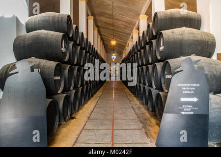 JEREZ DE LA FRONTERA, andalusia / Spagna - 11 ottobre 2017: Rovere nero botti di vino nella bodega Foto Stock