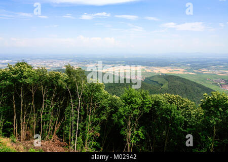 Viaggiare in Francia - sopra la vista della regione Alsazia strada del vino nelle montagne Vosges valle dal verde della foresta nera (Schwarzwald, Foret-Noire) Woodland Foto Stock